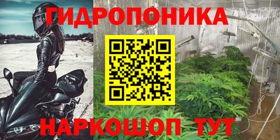 стаф Новодвинск